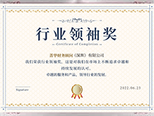  深圳公司注册代办代理公司、深圳注册公司代办公司菁华集团荣誉奖项：行业领袖奖、hangyelingxiu
